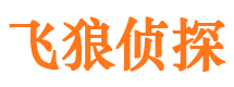 东丰市调查公司